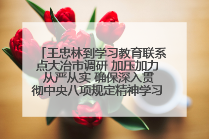 王忠林到学习教育联系点大冶市调研 加压加力 从严从实 确保深入贯彻中央八项规定精神学习教育取得实效