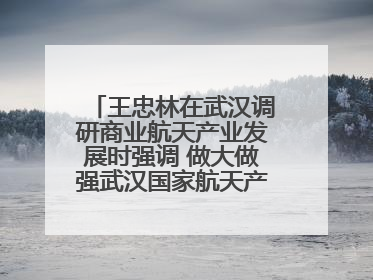 王忠林在武汉调研商业航天产业发展时强调 做大做强武汉国家航天产业基地 打造具有全国影响力的“中国星谷”