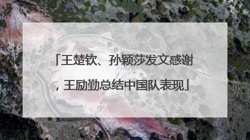 王楚钦、孙颖莎发文感谢，王励勤总结中国队表现