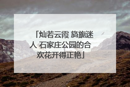 灿若云霞 旖旎迷人 石家庄公园的合欢花开得正艳