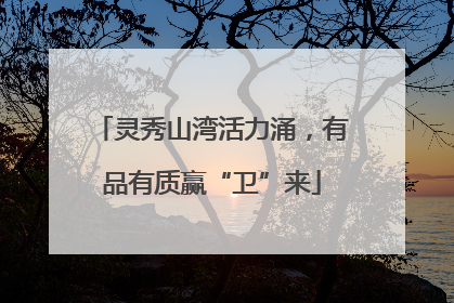 灵秀山湾活力涌，有品有质赢“卫”来