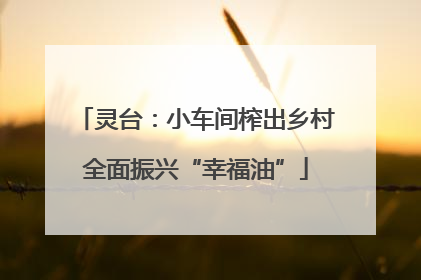 灵台：小车间榨出乡村全面振兴“幸福油”