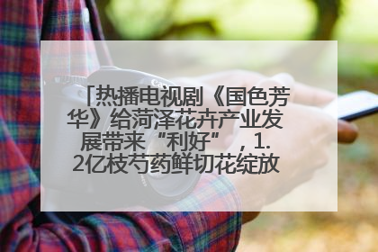 热播电视剧《国色芳华》给菏泽花卉产业发展带来“利好”，1.2亿枝芍药鲜切花绽放“国色芳华”