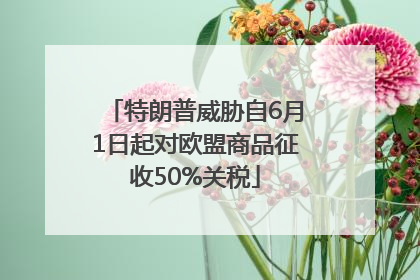 特朗普威胁自6月1日起对欧盟商品征收50%关税