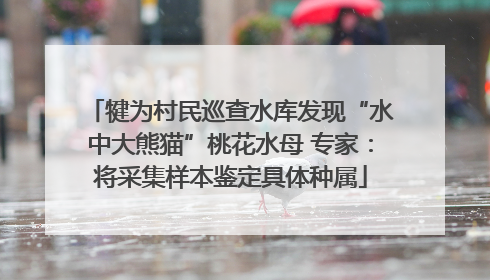 犍为村民巡查水库发现“水中大熊猫”桃花水母 专家：将采集样本鉴定具体种属