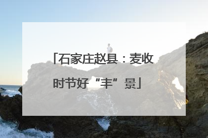 石家庄赵县：麦收时节好“丰”景