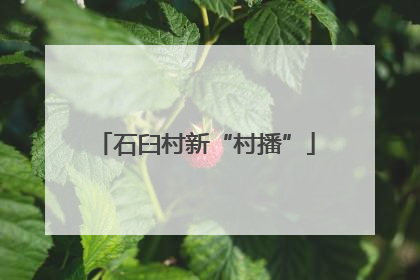 石臼村新“村播”