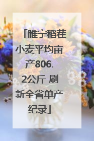 睢宁稻茬小麦平均亩产806.2公斤 刷新全省单产纪录