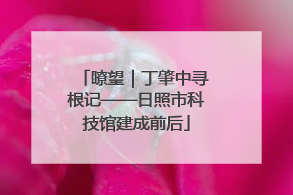 瞭望｜丁肇中寻根记——日照市科技馆建成前后