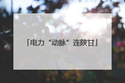 电力“动脉”连陕甘
