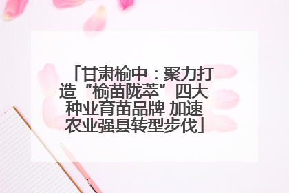 甘肃榆中：聚力打造“榆苗陇萃”四大种业育苗品牌 加速农业强县转型步伐