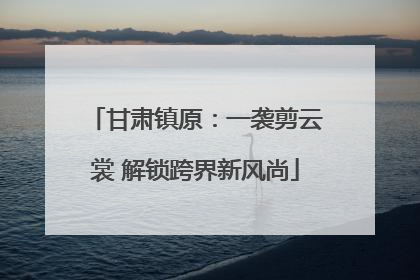 甘肃镇原：一袭剪云裳 解锁跨界新风尚