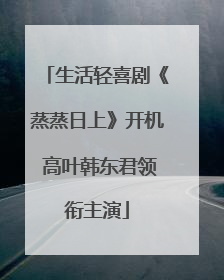 生活轻喜剧《蒸蒸日上》开机 高叶韩东君领衔主演