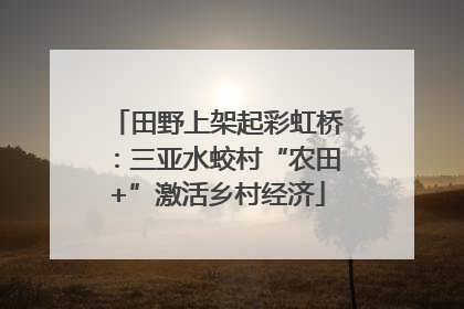 田野上架起彩虹桥：三亚水蛟村“农田+”激活乡村经济