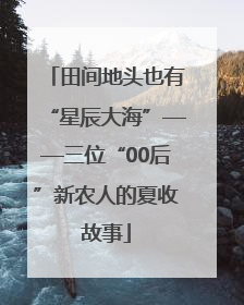 田间地头也有“星辰大海”——三位“00后”新农人的夏收故事