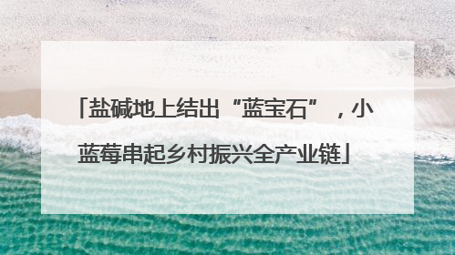 盐碱地上结出“蓝宝石”，小蓝莓串起乡村振兴全产业链