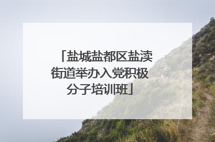盐城盐都区盐渎街道举办入党积极分子培训班