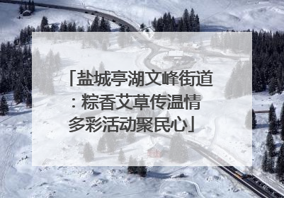 盐城亭湖文峰街道：粽香艾草传温情 多彩活动聚民心