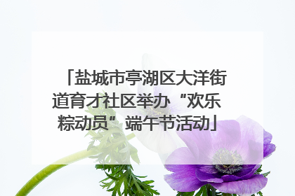 盐城市亭湖区大洋街道育才社区举办“欢乐粽动员”端午节活动