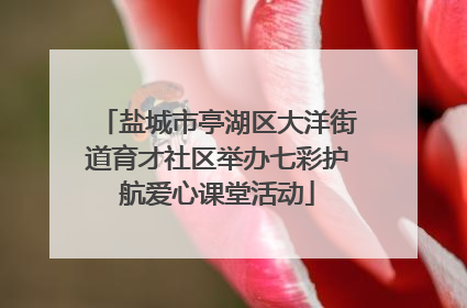 盐城市亭湖区大洋街道育才社区举办七彩护航爱心课堂活动