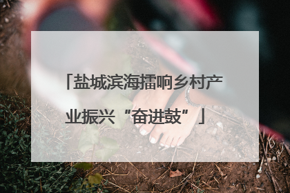 盐城滨海擂响乡村产业振兴“奋进鼓”