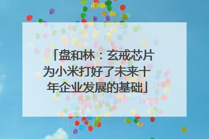 盘和林：玄戒芯片为小米打好了未来十年企业发展的基础