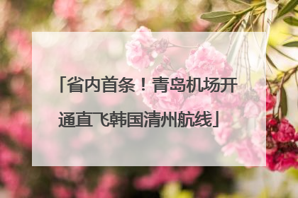 省内首条！青岛机场开通直飞韩国清州航线
