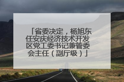 省委决定，杨旭东任安庆经济技术开发区党工委书记兼管委会主任（副厅级）