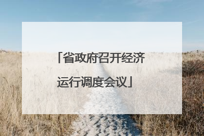 省政府召开经济运行调度会议
