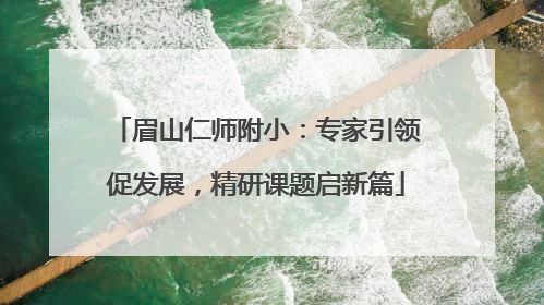 眉山仁师附小：专家引领促发展，精研课题启新篇
