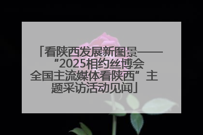 看陕西发展新图景——“2025相约丝博会 全国主流媒体看陕西”主题采访活动见闻
