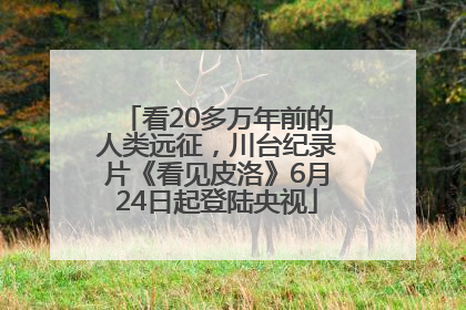 看20多万年前的人类远征，川台纪录片《看见皮洛》6月24日起登陆央视