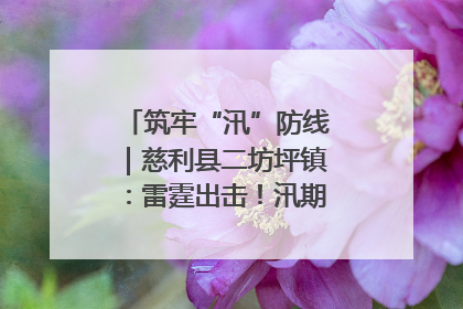 筑牢“汛”防线｜慈利县二坊坪镇：雷霆出击！汛期捕鱼被紧急叫停