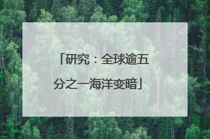 研究：全球逾五分之一海洋变暗