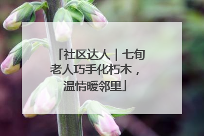 社区达人｜七旬老人巧手化朽木，温情暖邻里