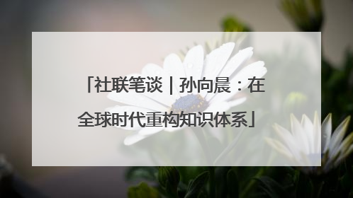 社联笔谈｜孙向晨：在全球时代重构知识体系