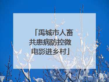 禹城市人畜共患病防控微电影进乡村