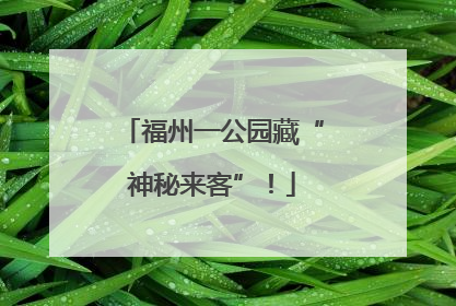 福州一公园藏“神秘来客”！