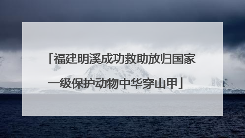 福建明溪成功救助放归国家一级保护动物中华穿山甲