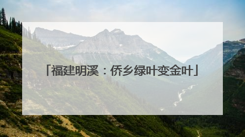 福建明溪：侨乡绿叶变金叶