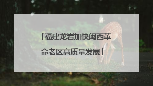 福建龙岩加快闽西革命老区高质量发展