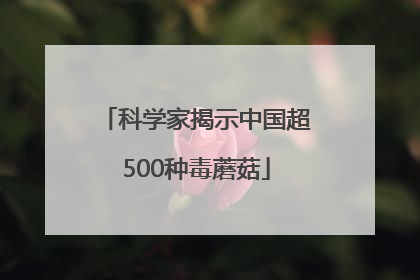 科学家揭示中国超500种毒蘑菇