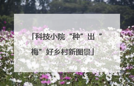 科技小院“种”出“梅”好乡村新图景