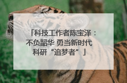 科技工作者陈宝泽：不负韶华 勇当新时代科研“追梦者”