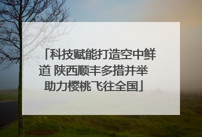 科技赋能打造空中鲜道 陕西顺丰多措并举助力樱桃飞往全国