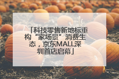 科技零售新地标重构“家场景”消费生态，京东MALL深圳首店启幕