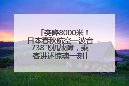 突降8000米！日本春秋航空一波音738飞机故障，乘客讲述惊魂一刻