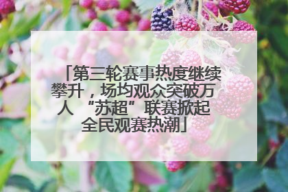 第三轮赛事热度继续攀升，场均观众突破万人 “苏超”联赛掀起全民观赛热潮