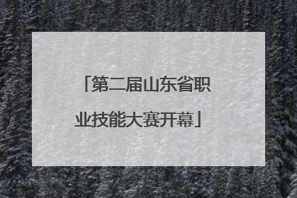 第二届山东省职业技能大赛开幕