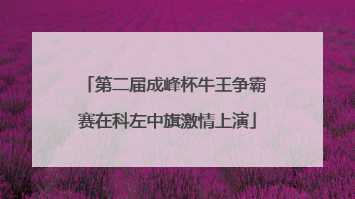 第二届成峰杯牛王争霸赛在科左中旗激情上演